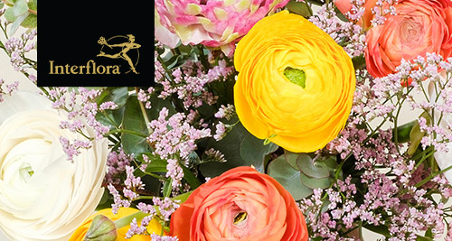 Interflora - Dimanche 6 mars, Fête des Grands-Mères Interflora - Dimanche 6 mars, Fête des Grands-Mères