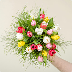 Nos bouquets colorés